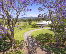 Rural / Farming commercial property for sale at 102 North Bank Road Bellingen NSW 2454