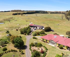 Rural / Farming commercial property for sale at 308 Peelwood Road Laggan NSW 2583