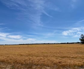 Rural / Farming commercial property sold at Gorman Road Minyip VIC 3392