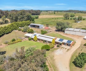 Rural / Farming commercial property for sale at 1757 Finlay Road Tongala VIC 3621