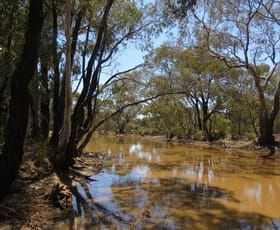 Rural / Farming commercial property for sale at 381 Wychitella Road Wedderburn VIC 3518