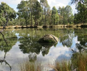 Rural / Farming commercial property for sale at "Boondaroo" 1697 Bingara Road Bundarra NSW 2359