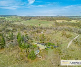 Rural / Farming commercial property for sale at 211 Sunnyside Road Armidale NSW 2350