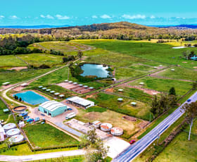 Rural / Farming commercial property sold at 315 Jilliby Road Jilliby NSW 2259