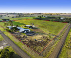 Rural / Farming commercial property for sale at 81 Lysaght Road Cambooya QLD 4358