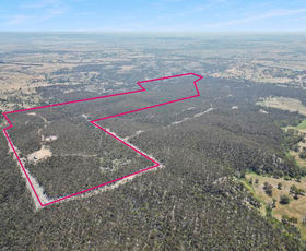Rural / Farming commercial property for sale at Lot 1 Dp567764 Lucks Lane Gunning NSW 2581