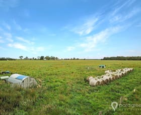 Rural / Farming commercial property sold at 315 Grip Road Toora VIC 3962