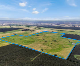Rural / Farming commercial property sold at 338 Murndal-Branxholme Road Branxholme VIC 3302