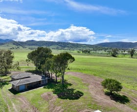 Rural / Farming commercial property for sale at "Parkview" Alfred Brown Lane Parkville Scone NSW 2337
