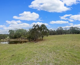 Rural / Farming commercial property for sale at Lot 17 Putty Road Howes Valley NSW 2330