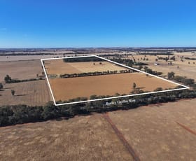 Rural / Farming commercial property for sale at 7555 Burley Griffin Way Temora NSW 2666