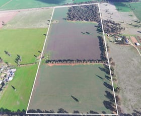 Rural / Farming commercial property sold at 7555 Burley Griffin Way Temora NSW 2666