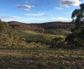 Rural / Farming commercial property sold at Lot 37 Good Good Road Peak View NSW 2630