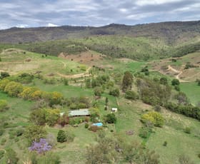 Rural / Farming commercial property for sale at 64 Allens Rd Upper Tenthill QLD 4343