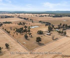 Rural / Farming commercial property sold at 832 Tungamah-Peechelba Road Peechelba VIC 3678