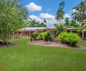 Rural / Farming commercial property for sale at 21 Wooloogin Road Japoonvale QLD 4856