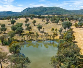 Rural / Farming commercial property sold at 320 Toveys Road Chiltern VIC 3683