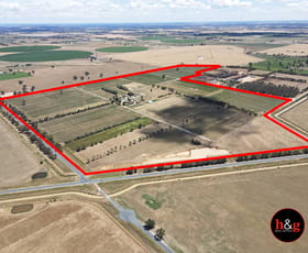 Rural / Farming commercial property for sale at 172 Trevaskis Road Wyuna VIC 3620