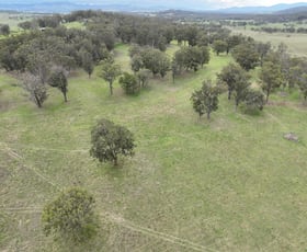 Rural / Farming commercial property sold at Lot 120 Black Swamp Road Tenterfield NSW 2372