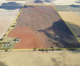 Rural / Farming commercial property for sale at 6 Saits Road Charlton VIC 3525