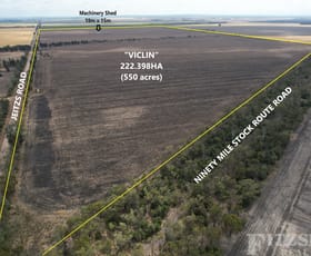 Rural / Farming commercial property for sale at Jeitz Road Jandowae QLD 4410