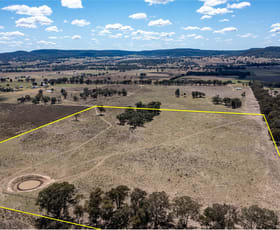 Rural / Farming commercial property sold at Lot 206 //45 Bayly Lane Mudgee NSW 2850