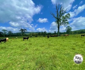 Rural / Farming commercial property sold at 799 Ghinni Ghi Road Kyogle NSW 2474