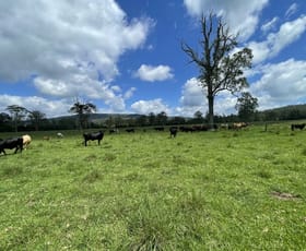 Rural / Farming commercial property for sale at 799 Ghinni Ghi Road Kyogle NSW 2474