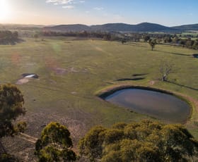 Rural / Farming commercial property sold at 163 Buckaroo Lane Mudgee NSW 2850