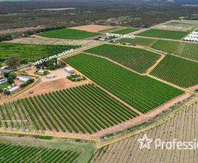 Rural / Farming commercial property for sale at 386 Westcliffs Avenue Cardross VIC 3496