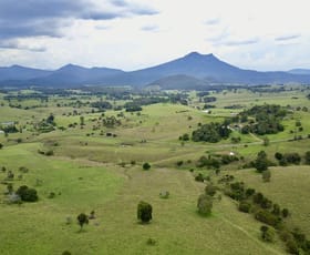 Rural / Farming commercial property for sale at 381 Barney View Road Palen Creek QLD 4287