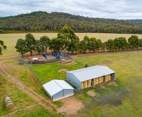 Rural / Farming commercial property for sale at 13070, Lot 13070 bridge road North Walpole WA 6398