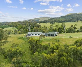 Rural / Farming commercial property sold at 1435 Old Tolmie Road Tolmie VIC 3723
