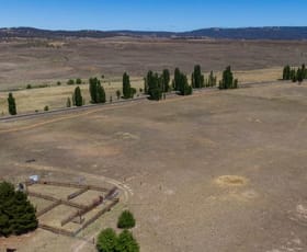Rural / Farming commercial property sold at 272 Middlingbank Road Berridale NSW 2628