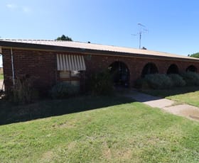 Rural / Farming commercial property for sale at 66 Barkmeyers Road Leitchville VIC 3567