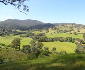 Rural / Farming commercial property sold at 175 Tinmines Road Mullengandra NSW 2644