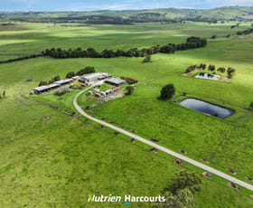 Rural / Farming commercial property for sale at 320 Outtrim-Inverloch Road Outtrim VIC 3951