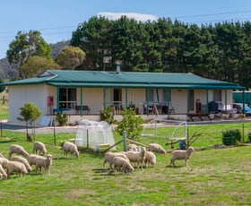 Rural / Farming commercial property sold at 39 Lake Road Bungendore NSW 2621