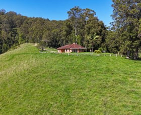 Rural / Farming commercial property for sale at 329 South Island Loop Road Upper Orara NSW 2450