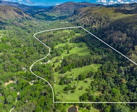 Rural / Farming commercial property for sale at 870 Wilsons Creek Road Wilsons Creek NSW 2482