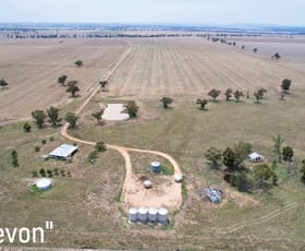 Rural / Farming commercial property for sale at 3497 Henry Lawson Way, "Devon" & "Oomaville" Ooma NSW 2871