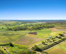 Rural / Farming commercial property sold at Lot 2 Gomoran Douglas Rd Douglas QLD 4354