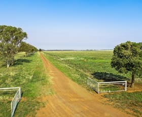 Rural / Farming commercial property sold at 490 Pinedene Road Narromine NSW 2821