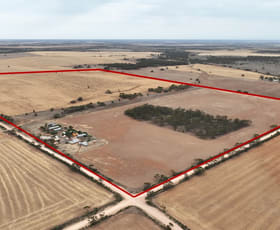 Rural / Farming commercial property sold at 1992 Frankton Road Neales Flat SA 5374