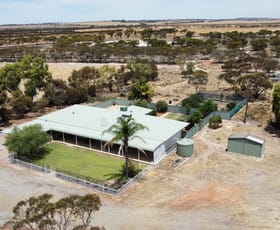 Rural / Farming commercial property sold at 360 Mount Walker Road Wadderin WA 6369