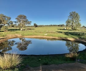 Rural / Farming commercial property sold at 72 Bourkes and Halls road Binnaway NSW 2395