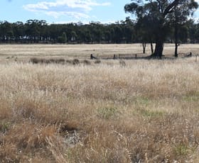 Rural / Farming commercial property sold at Laanecoorie-Newbridge Road Newbridge VIC 3551