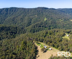 Rural / Farming commercial property for sale at 515 Boorabee Creek Road Boorabee Park NSW 2480