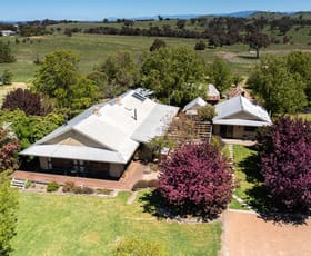 Rural / Farming commercial property sold at 633 Wallaroo Road Wallaroo NSW 2618