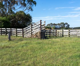 Rural / Farming commercial property sold at 831 Koroit-Woolsthorpe Road Koroit VIC 3282